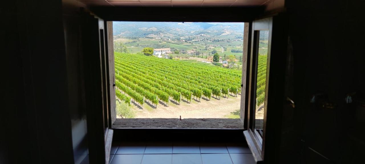 Agriturismo Casa Delle Rose Winery Ruttàrs Exterior foto