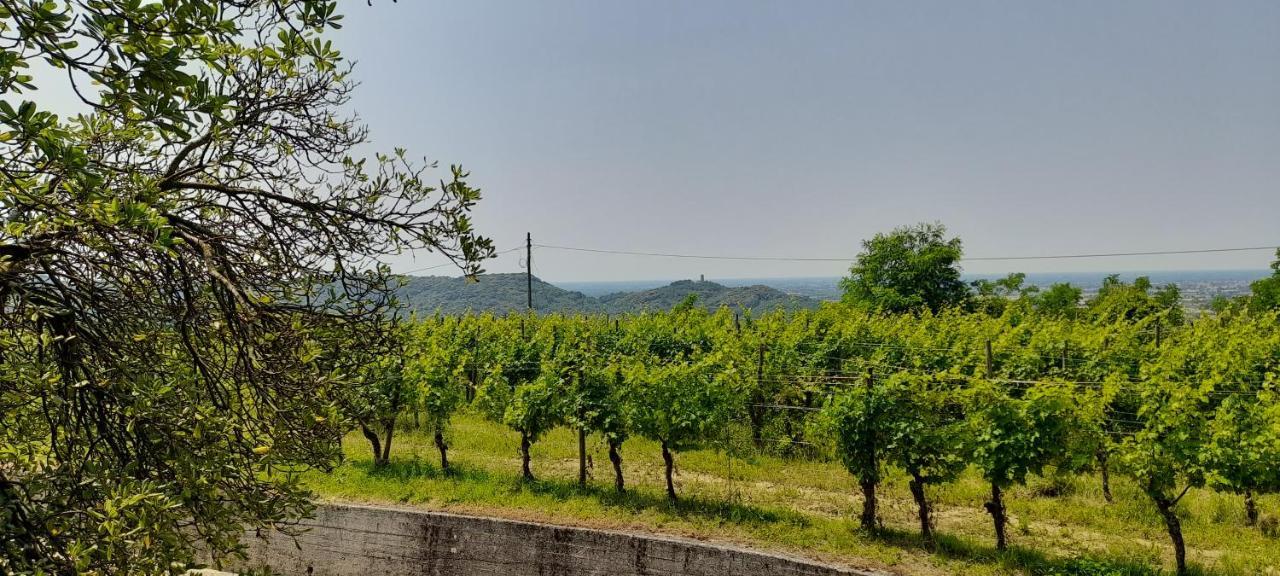 Agriturismo Casa Delle Rose Winery Ruttàrs Exterior foto